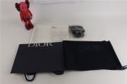 Dior B23 Low Canvas Oblique Black