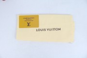 LOUIS VUITTON slides