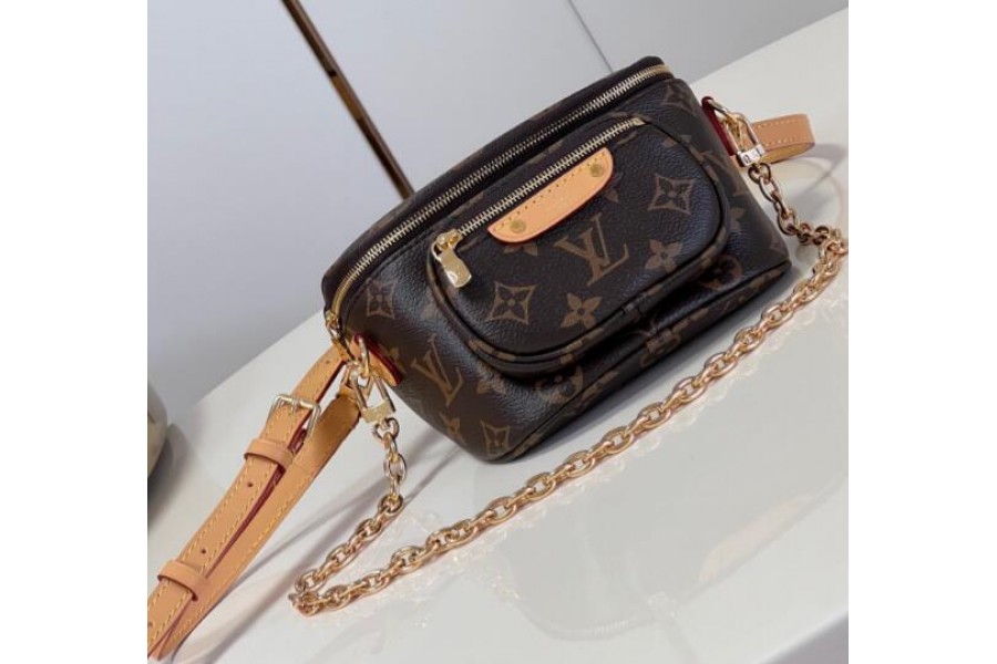 LV Bag