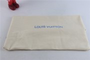 Louis Vuitton Trainer