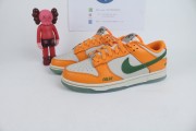 Nike Dunk Low Florida A