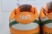Nike Dunk Low Florida A