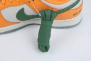 Nike Dunk Low Florida A