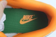 Nike Dunk Low Florida A