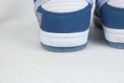 Born x Raised x Nike SB Dunk Low FN7819-400