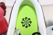 Nike Dunk Low Next Nature White Black (It is different from White and Black Panda dunks