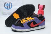 Nike SB Dunk Low ACG Terra