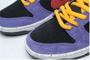 Nike SB Dunk Low ACG Terra