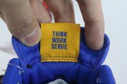 Nike Dunk Low Tennessee State University