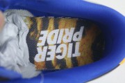 Nike Dunk Low Tennessee State University