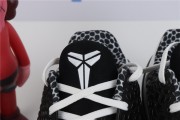 Kobe 6 Mambacita