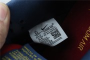 Nike SB Dunk Low “Barcelona”