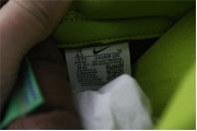 Nike Dunk Low Veneer