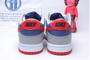 Nike SB Dunk Low Grey