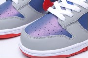Nike SB Dunk Low Grey