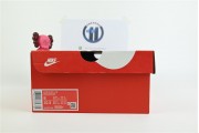 Nike Dunk Low Fossil Rose