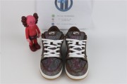 Nike SB Dunk Low Pro Paisley Brown