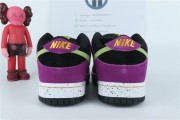 Nike SB Dunk Low Pro 'ACG Terra'