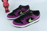 Nike SB Dunk Low Pro 'ACG Terra'