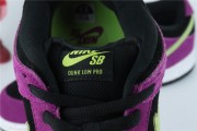 Nike SB Dunk Low Pro 'ACG Terra'