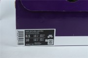 Nike SB Dunk Low Pro 'ACG Terra'