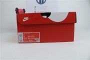 Nike Dunk Low “Teddy Bear” DZ5350-288