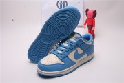 The Nike Dunk Low "Coast"