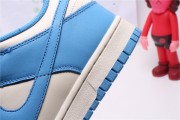 The Nike Dunk Low "Coast"