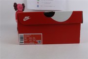 Nike Dunk Low SE