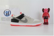 Nike SB Dunk Low Infrared Orange Label