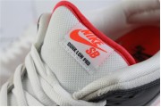 Nike SB Dunk Low Infrared Orange Label