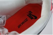 Nike SB Dunk Low Infrared Orange Label