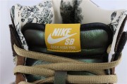 Concepts x Nike SB Dunk High TurDUNKen