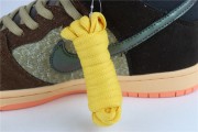 Concepts x Nike SB Dunk High TurDUNKen