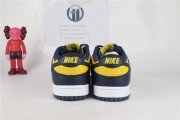 The Nike Dunk Low “Michigan”