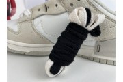 Nike Dunk Low Disrupt 2