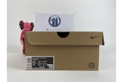 Nike Dunk Low Disrupt 2
