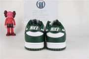 Nike Dunk Low Michigan State