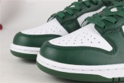 Nike Dunk Low Michigan State