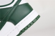 Nike Dunk Low Michigan State