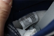 Nike SB dunk Georgetown