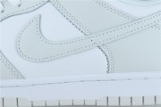 1 x	Nike Dunk Low Photon Dust