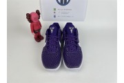 Nike Zoom Kobe Vi Tb Men's Purple