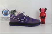Nike SB Dunk Low Concepts Purple Lobster