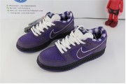 Nike SB Dunk Low Concepts Purple Lobster