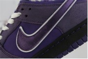Nike SB Dunk Low Concepts Purple Lobster