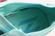 Nike ZoomX Vaporfly