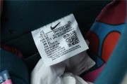 Parra x Nike SB Dunk Low