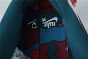 Parra x Nike SB Dunk Low