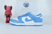 Nike UNC dunk